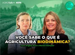 Thumbnail da notícia