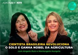 Thumbnail da notícia