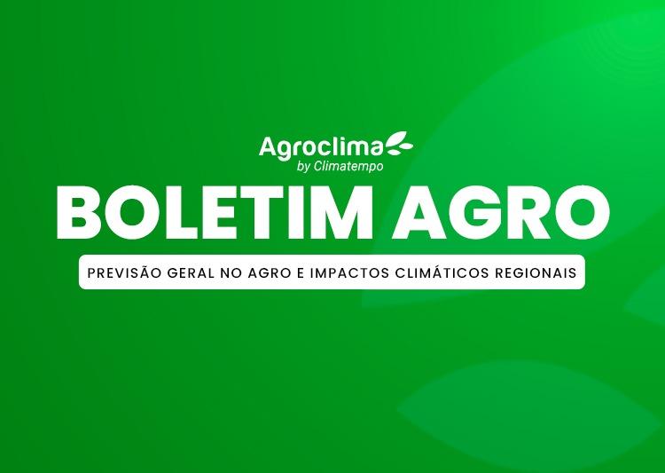 Thumbnail da notícia