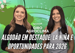 Thumbnail da notícia