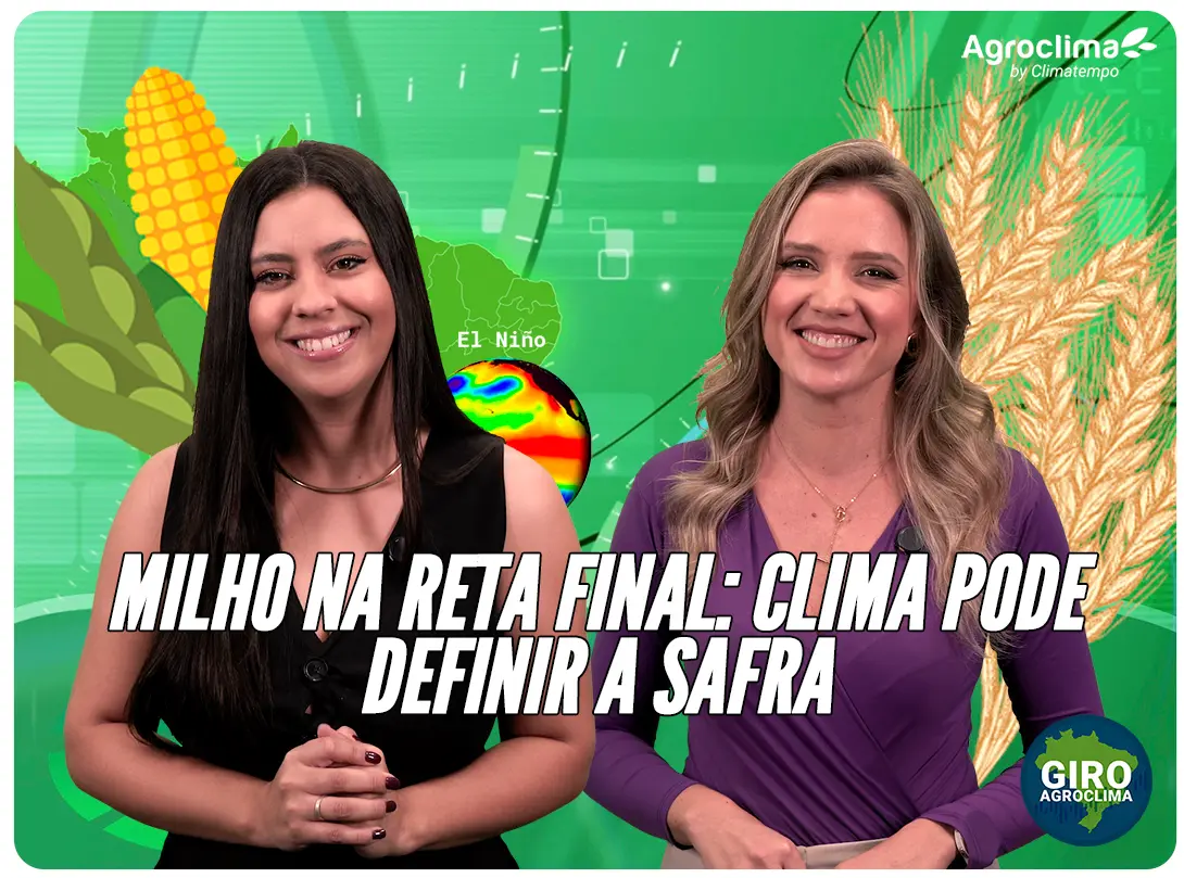 Thumbnail da notícia