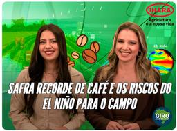 Thumbnail da notícia