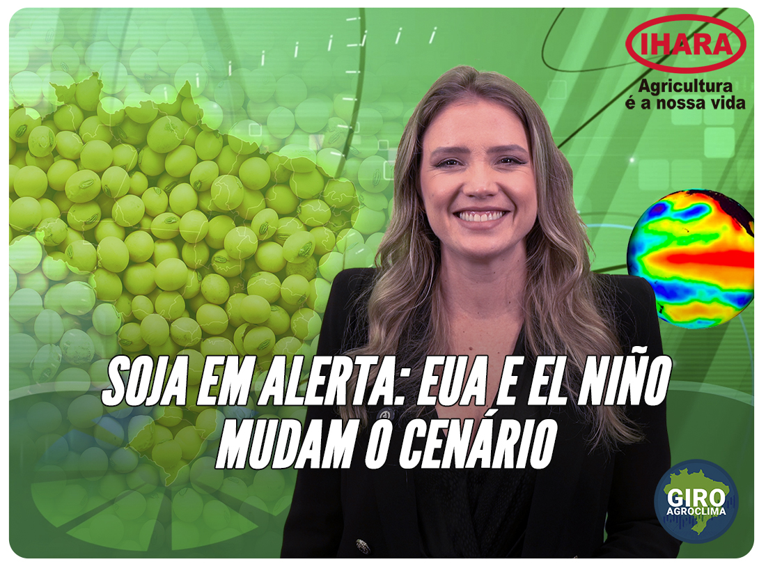 Thumbnail da notícia