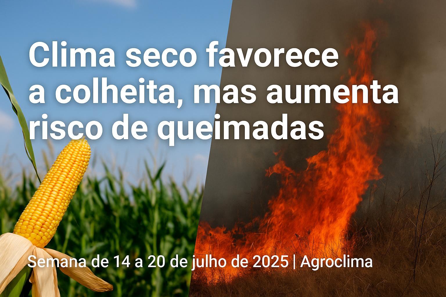 Thumbnail da notícia